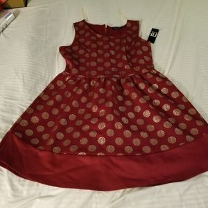 Fun and thick skater holiday dress